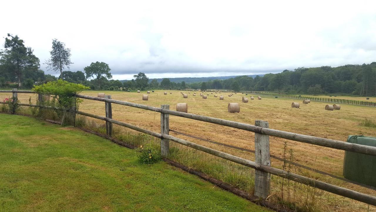 L'herbe Aux Vaches