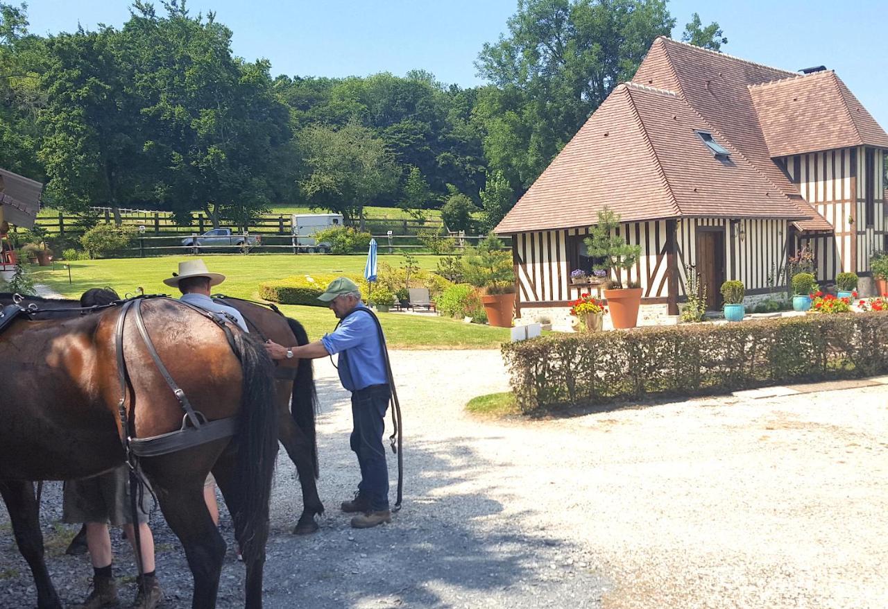 L'herbe Aux Vaches *